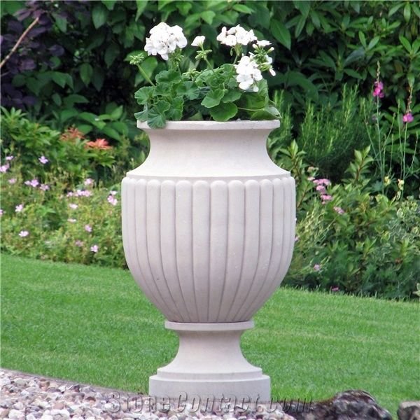 product-image.jpg